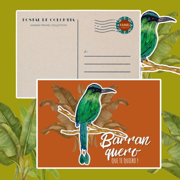 Cartes postales Oiseaux de Colombie – Image 2