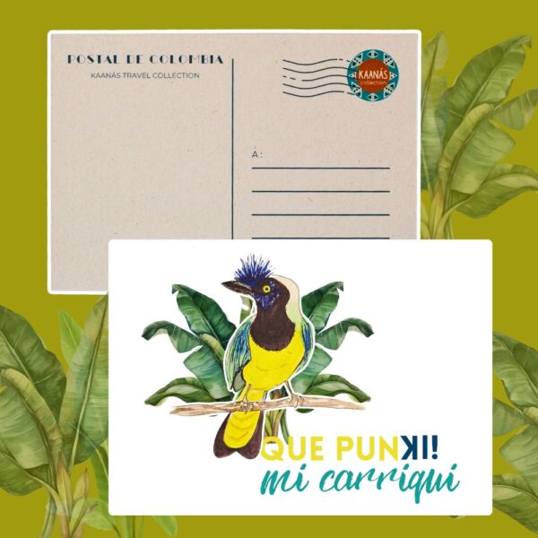 Cartes postales Oiseaux de Colombie – Image 6