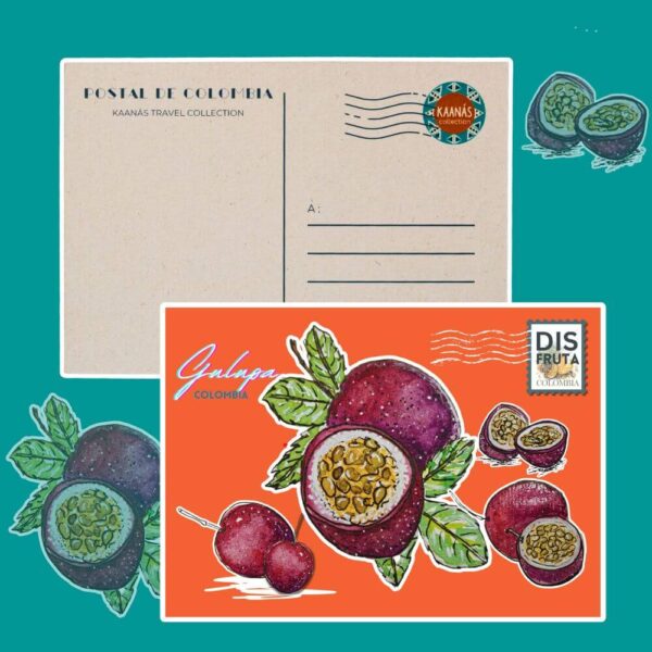 Cartes postales Fruits de Colombie – Image 4