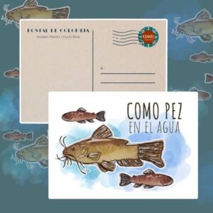 Cartes postales Poisson dans l'eau