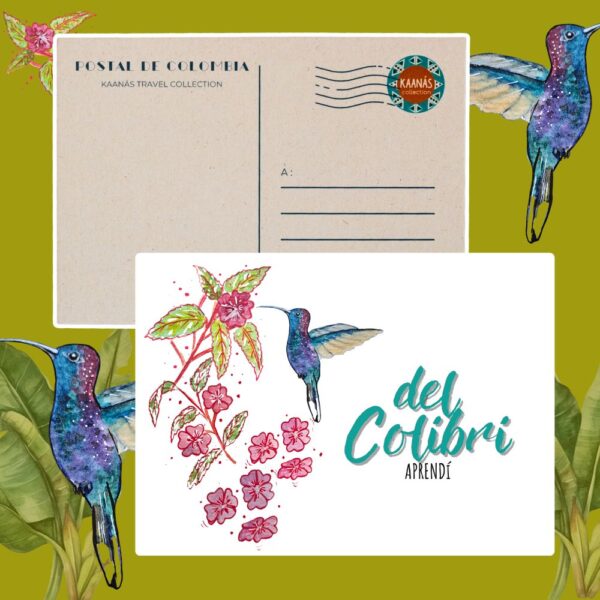Cartes postales Oiseaux de Colombie – Image 4