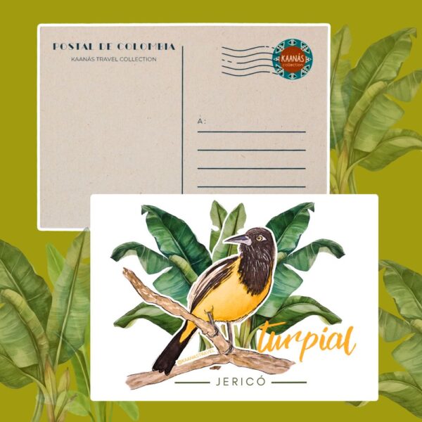 Cartes postales Oiseaux de Colombie – Image 7