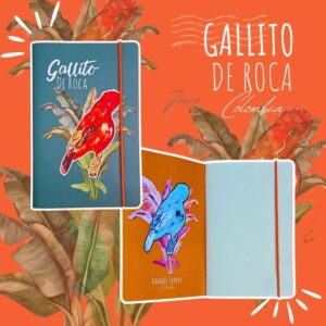 Carnet Oiseaux de Colombie